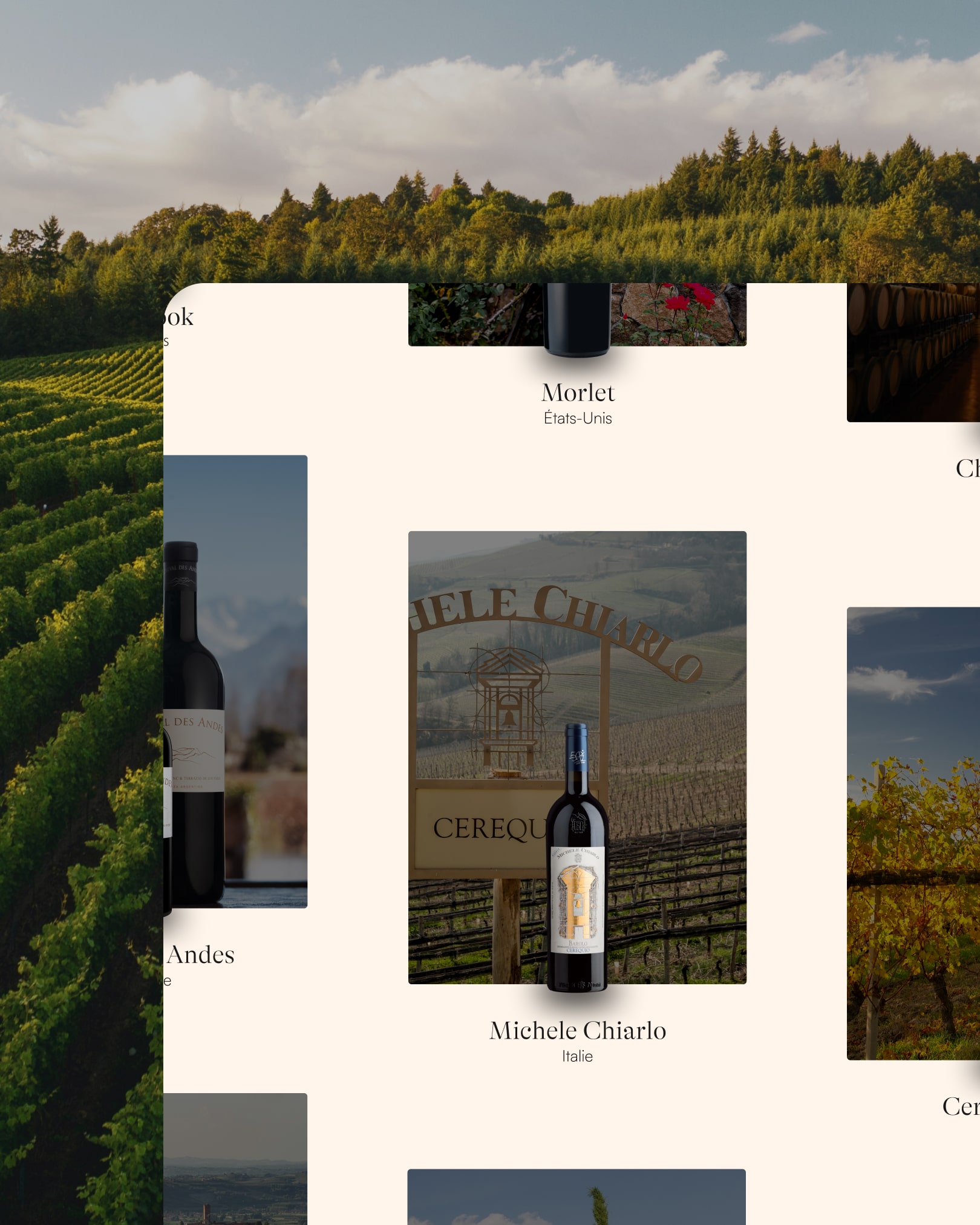Showcasing Constance's partners through vineyards and bottle visuals