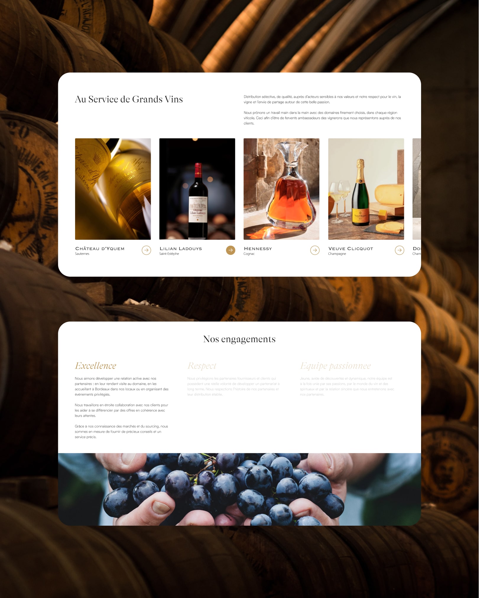 Two websites screenshots showing the 'Excellence' and 'At the service of great wines' sections