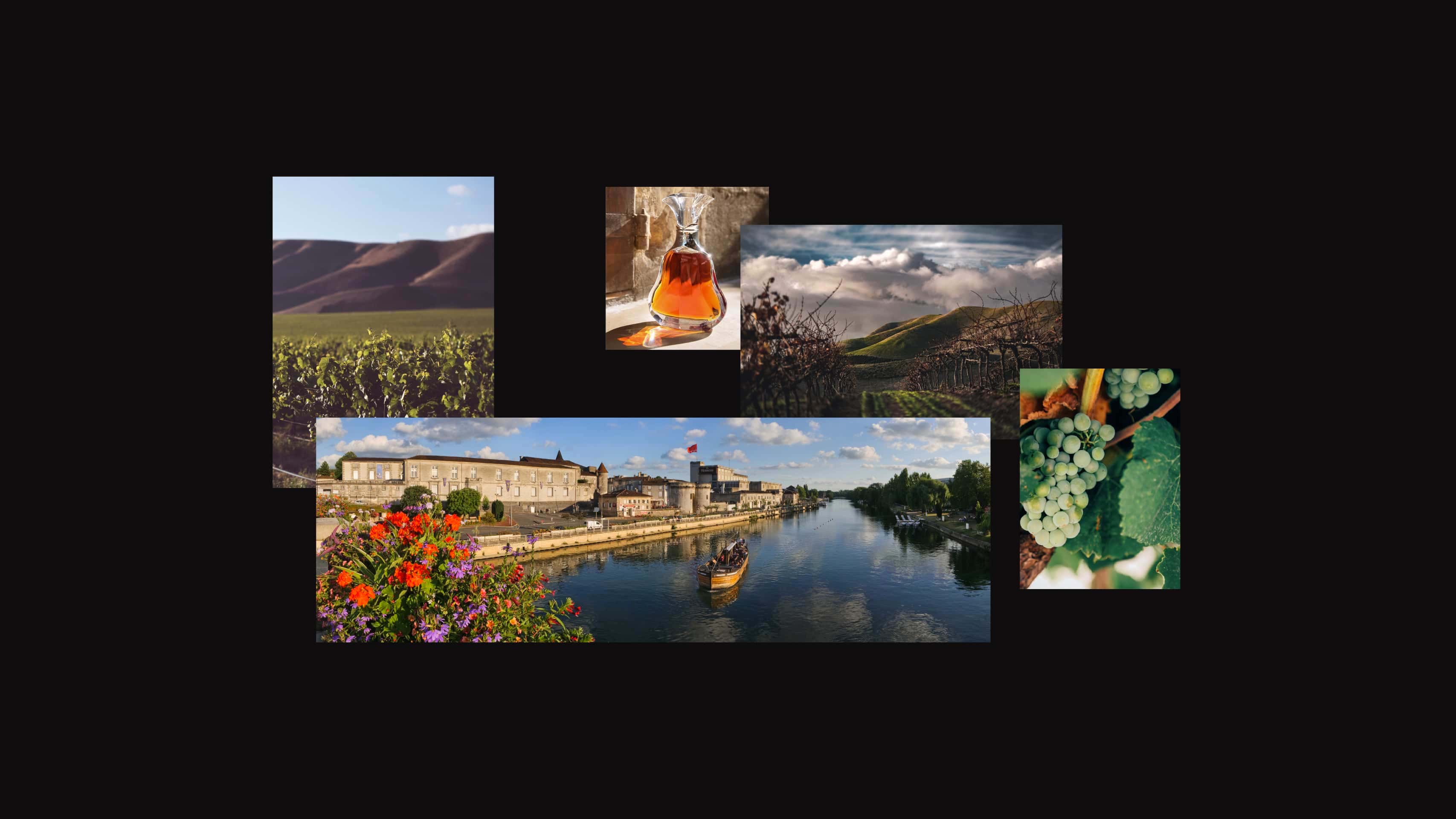 Moodboard : vines, hennessy and the city of Cognac, France